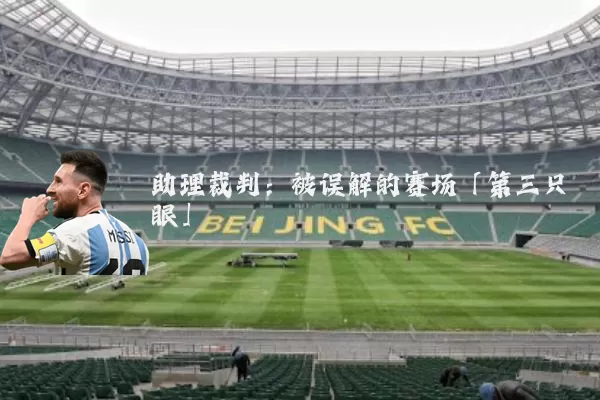 助理裁判:被误解的赛场「第三只眼」
