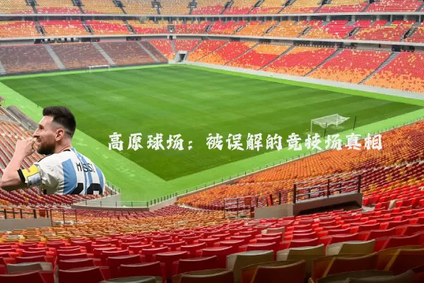 高原球场:被误解的竞技场真相